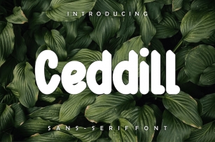 Ceddill font Font Download