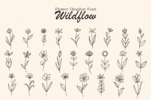 Wildflow Font Download