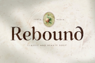 Rebound - Classic Beauty Serif - Vintage Font Font Download