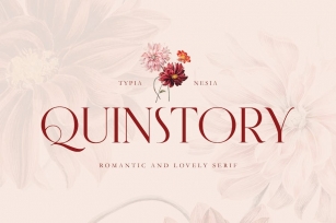 Quinstory - Romantic Beauty Lovely Serif Font Font Download