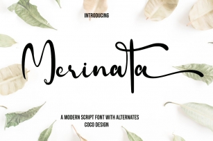 Merinata Font Download