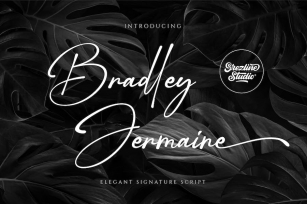 Bradley Jermaine - Elegant Signature Script Font Download