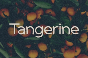 Tangerine Font Download