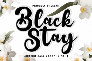 Black Stay Script Font Download