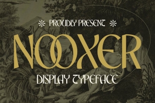 Nooxer Display Typeface Font Font Download