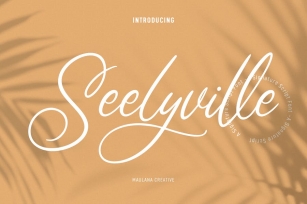 Seelyville Beauty Script Font Font Download