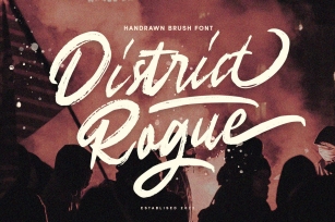 District Rogue Font Download