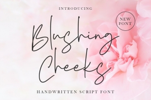 Blushing Cheeeks Font Download