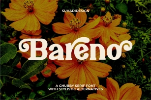 Bareno modern retro serif Font Download