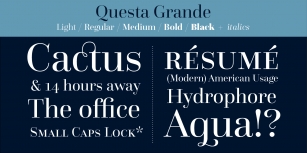 Questa Grande Font Download