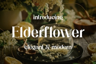 Elderflower - Elegant Typeface Font Download