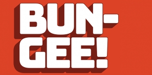 Bungee Font Download