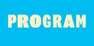 Program Font Download