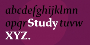 Study Font Download