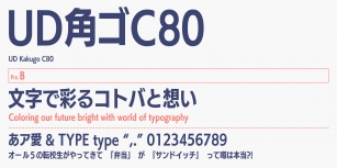 FOT-UDKakugoC80 Pro Font Download