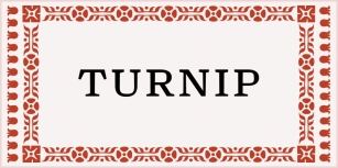 Turnip Font Download