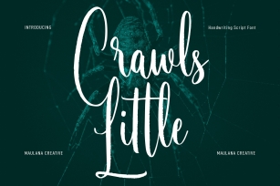 Little Crawls Script Font Download