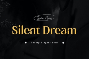 Silent Dream - Modern Beauty Aesthetic Serif Font Download