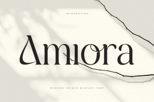 Amiora - Modern Unique Display Font Font Download
