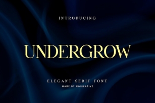 Undergrow Elegant Serif Font Font Download