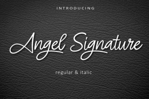 Angel Signature -  Monoline Signature AM Font Download