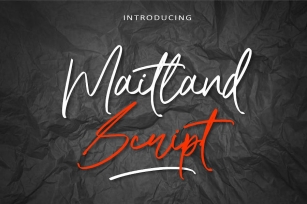 Maitland Script -  Modern Script AM Font Download