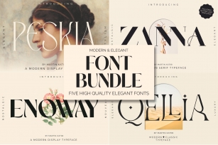 Modern Elegant Bundle plus Logos Font Download