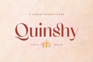 Quinshy - Modern Beauty Elegant Aesthetic Sans Font Download