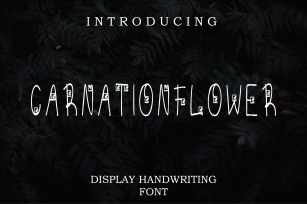 Carnation Flower Font Download