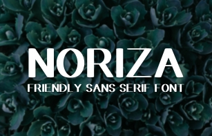 Noriza Font Download