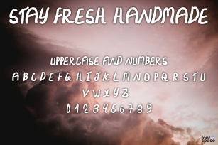 Stay Fresh Handmade Font Download