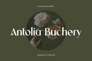 Antolia Buchery Feminine Sans Serif Font Font Download