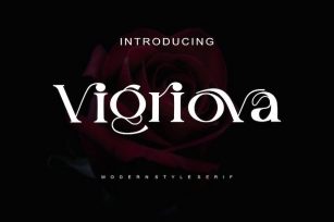 Vigriova - Serif Font Font Download