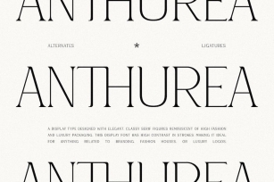 Anthurea - Classic Serif Font Font Download