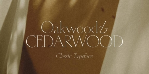 Cedarwood Font Download