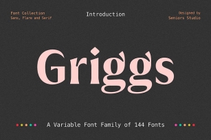 Griggs Variable Typeface Font Download