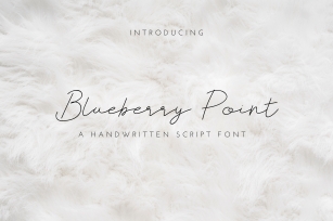Blueberry Point Font Download