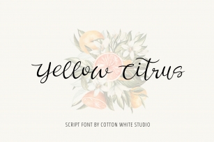 Yellow Citrus Font Download