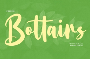 Bottairs Script Font Download