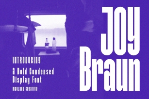 Joy Braun Sans Serif Display Font Download