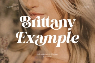 Brittany Example Serif Typeface Font Download