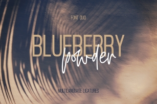 Blueberry Powder Duo Font Download