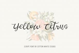 Yellow Citrus Script Font Download