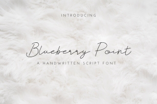 Blueberry Point Thin Script Font Download