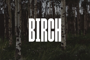 Birch Font Download