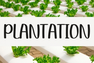 Plantation Font Download
