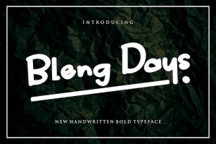 Bleng Days Fonts Font Download