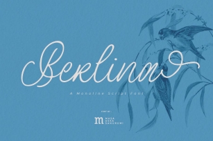 Berlina | A Handwritten Font Font Download