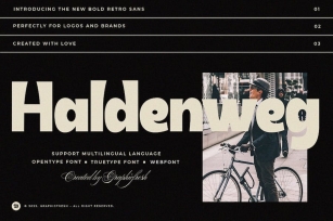 Haldenweg - Bold Retro Sans Font Download
