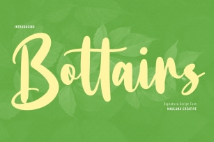 Bottairs Script Font Font Download